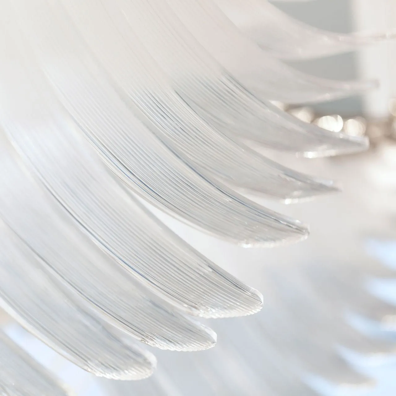 Bird Feather Wings Chandelier