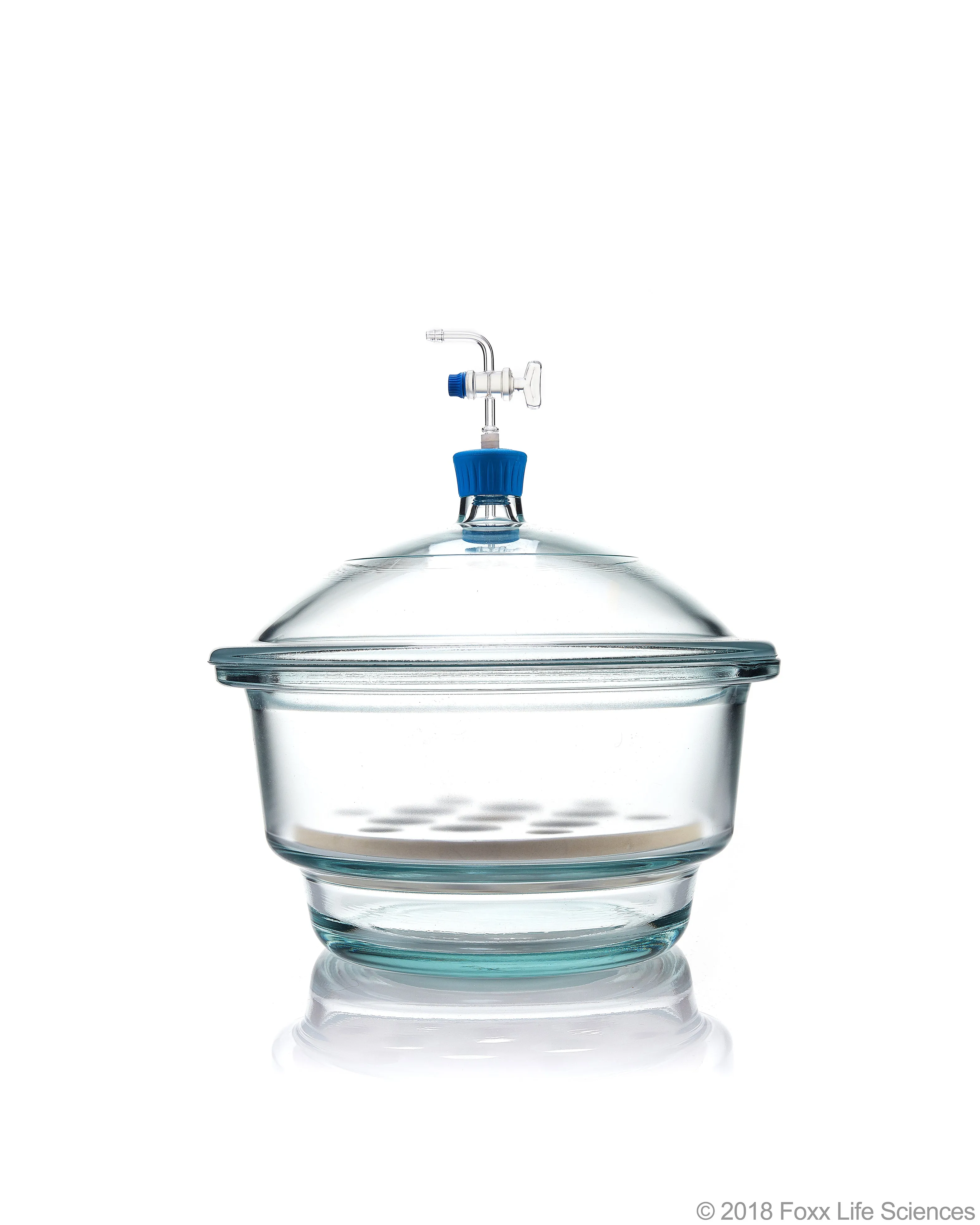 Borosil® Desiccator Vacuum, Stopcock with Polytetrafluoroethylene (PTFE) spindle and Porcelain plate, 250 mm, Borosilicate