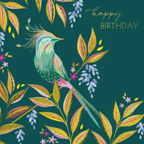 Colourful Bird Birthday Card