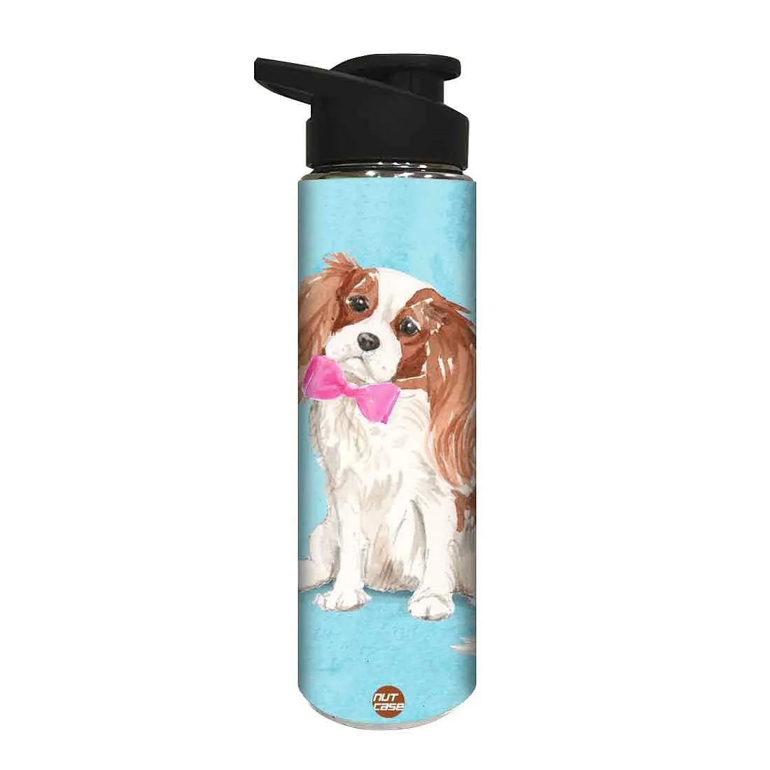 Designer Sipper Bottle for Kids -  Smarty Dog