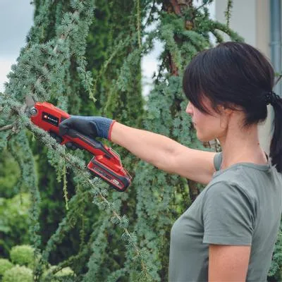 Einhell | Cordless Pruning Shear Li- Solo