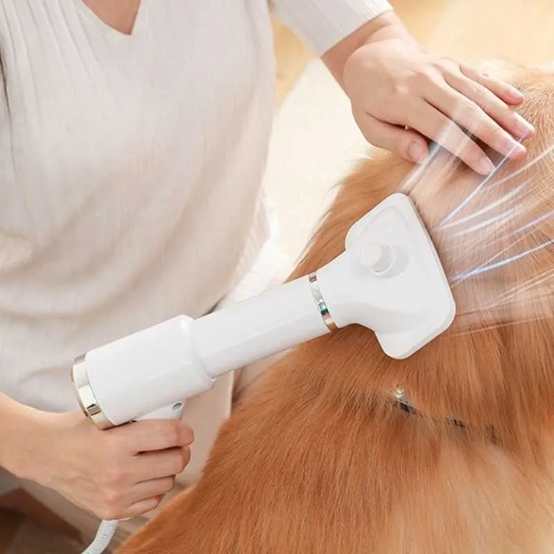 Pet 2-in-1 Dryer with Slicker Brush