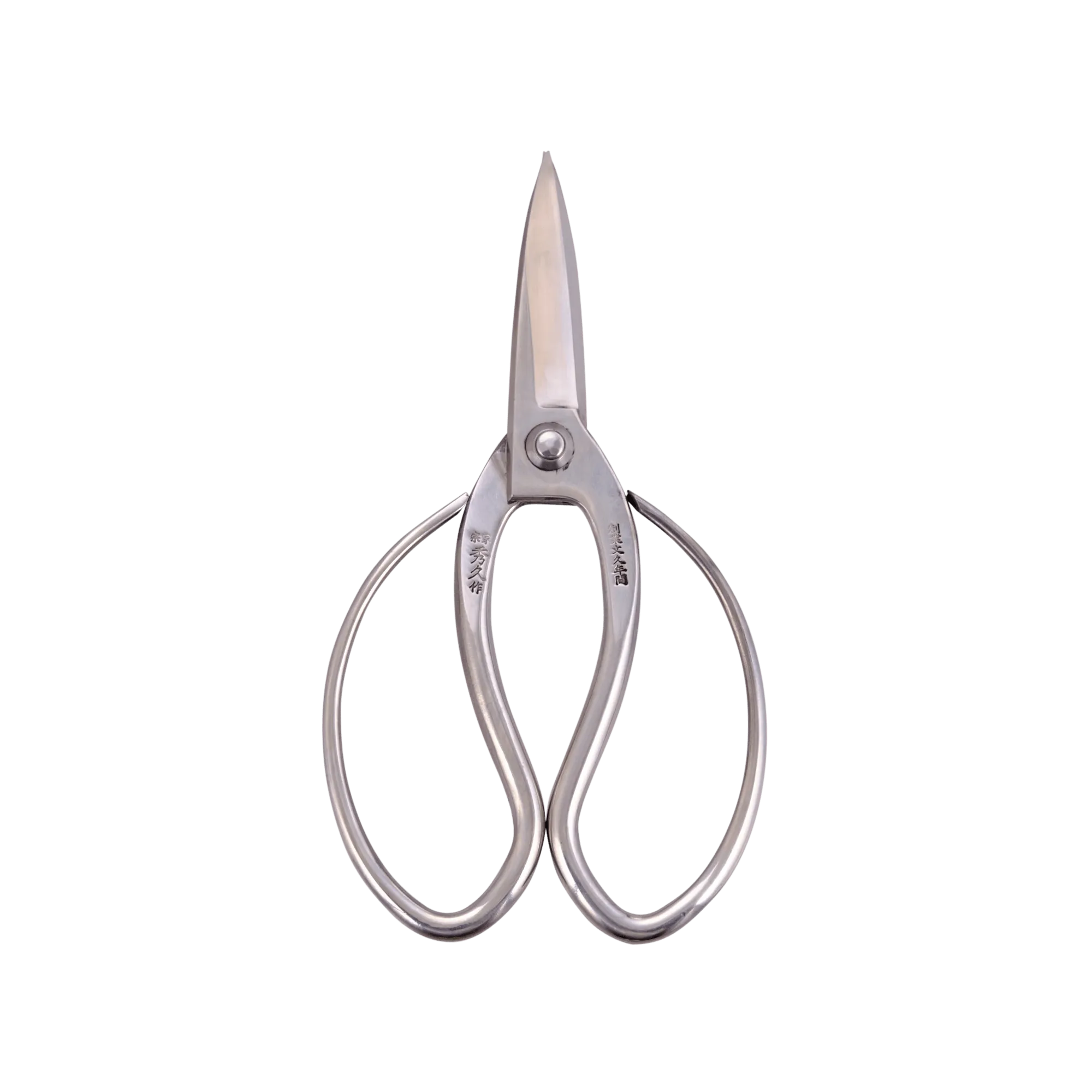 Stainless Steel Okubo Snips