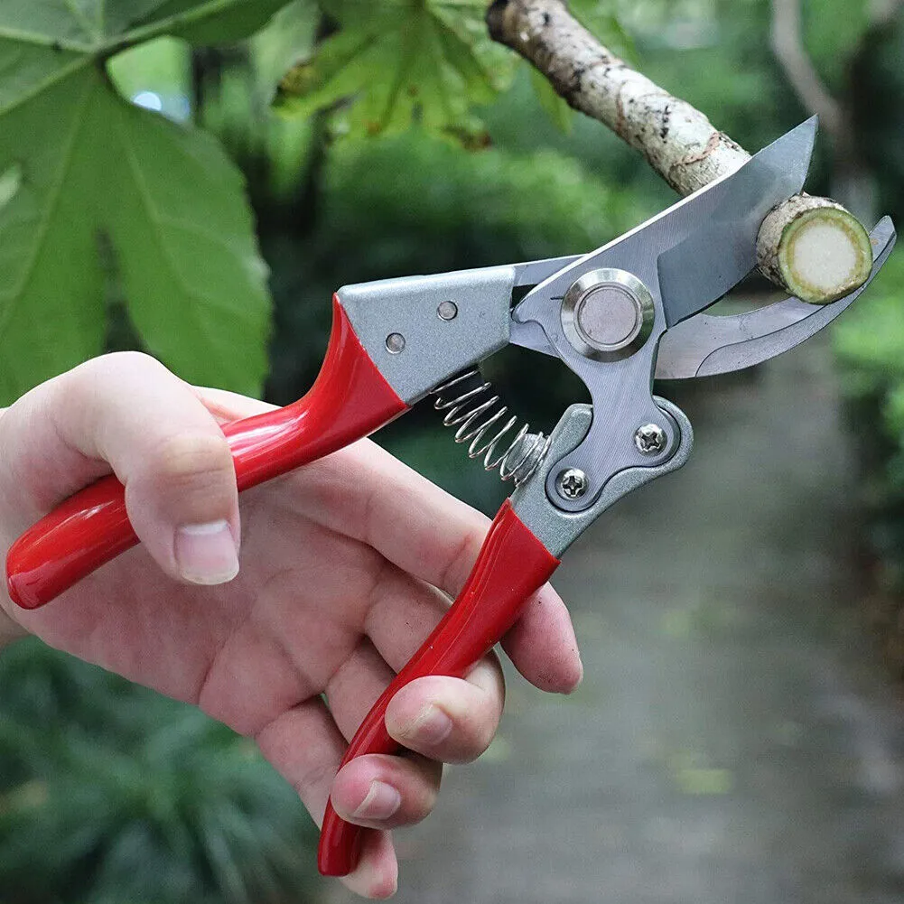 US 2-4 Pc Pruning Shear Cutter Plant Floral Scissor Branch Pruner Home Gardening